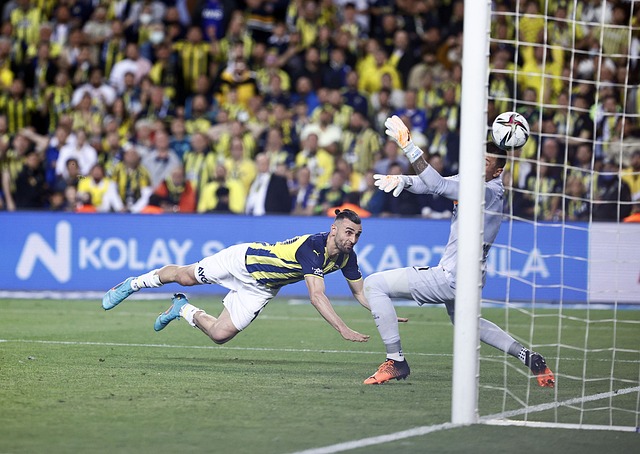 经典案例 经典案例