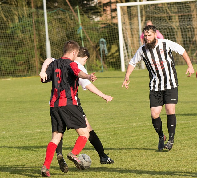 全队的默契 全队的默契