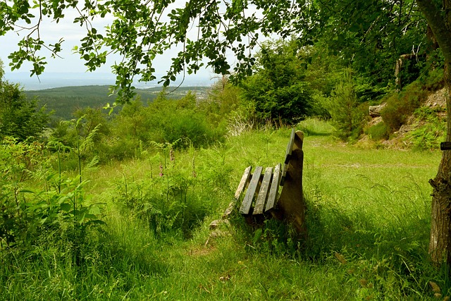 面对少年球 面对少年球