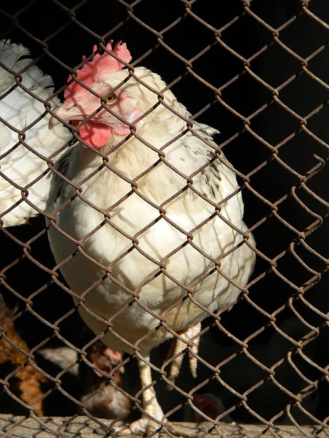 境中精准解 境中精准解