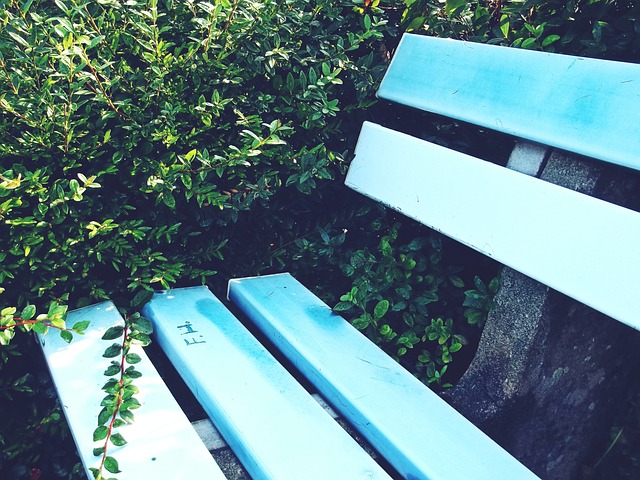 其中來自中 其中來自中